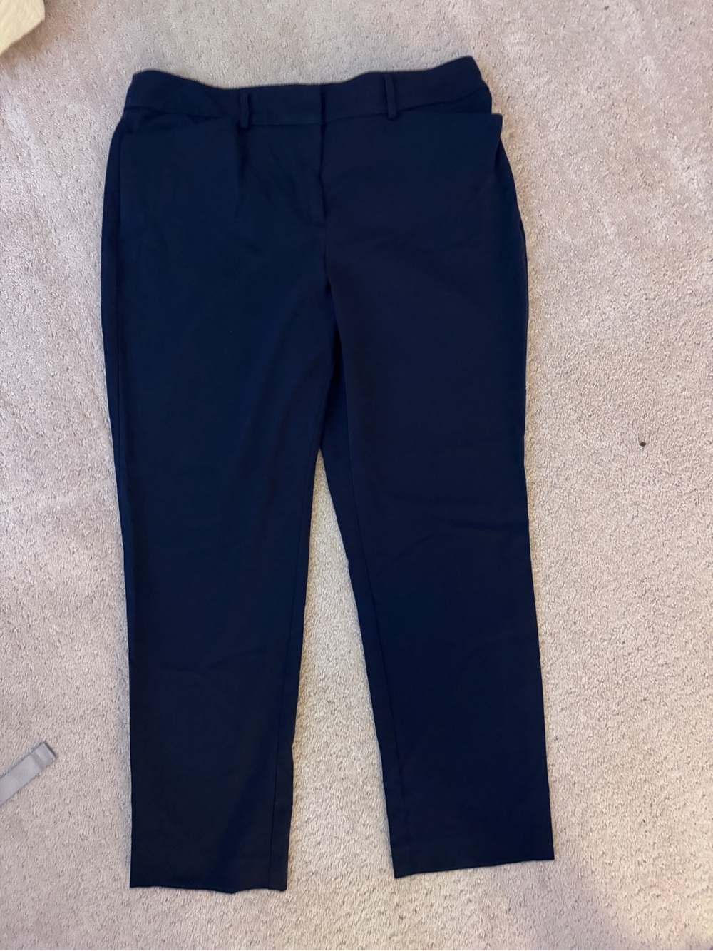 Ann Taylor factory navy trouser